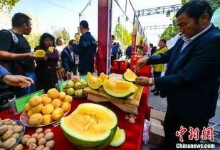 红领巾爆料吃瓜最新,娱乐圈最新瓜料大揭秘！