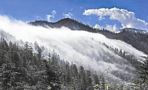 流云最新爆料消息,最新爆料事件深度解析